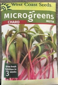 Chard microgreens front image