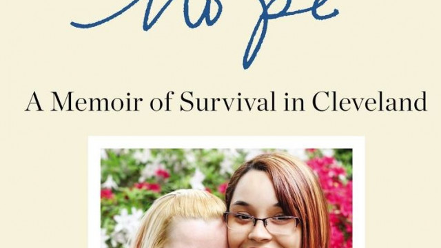 amanda-berry-book-cover-amanda-better